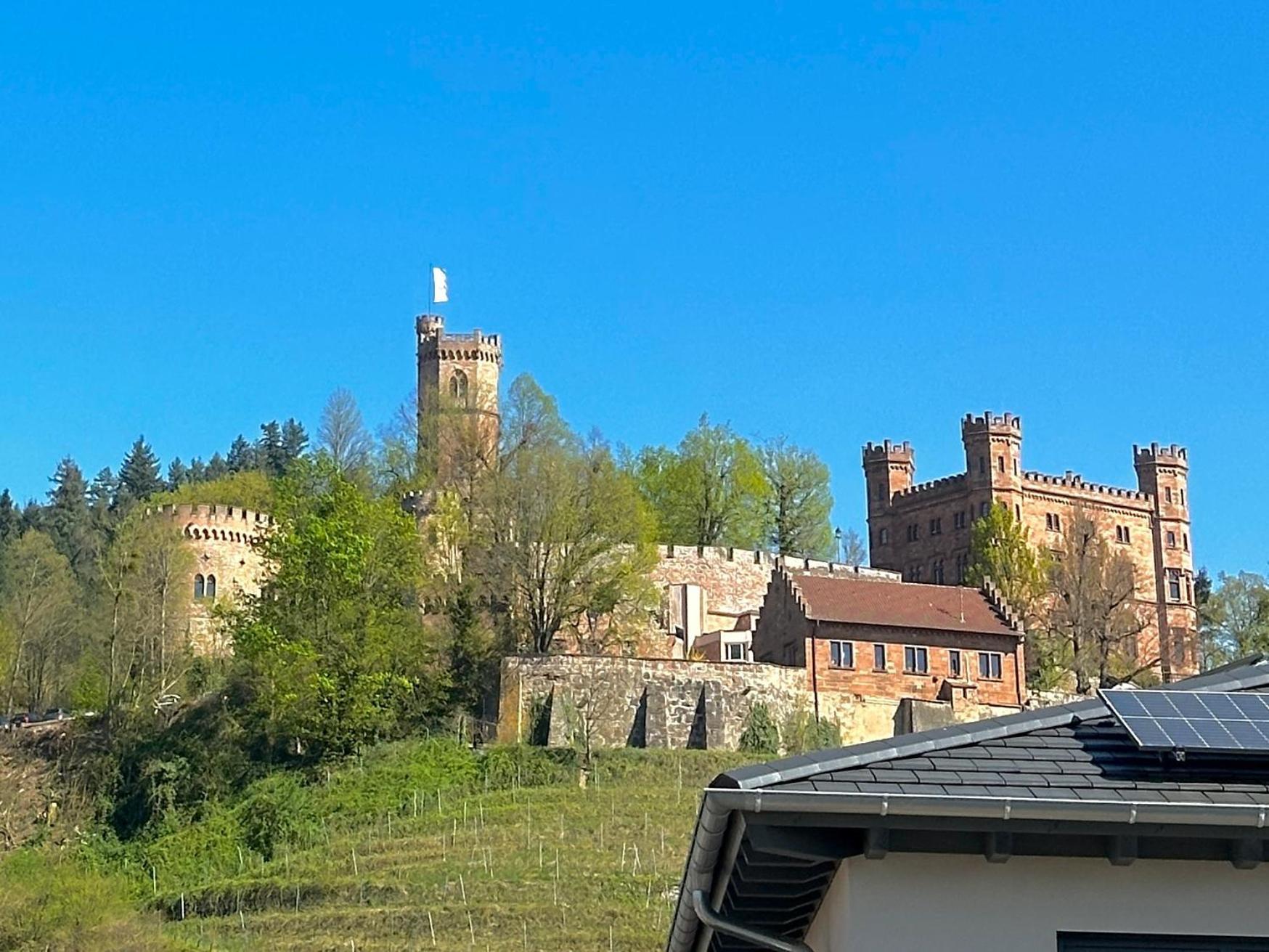 Ferienwohnung Mit Schlossblick Bei Offenburg Ortenberg  Екстер'єр фото
